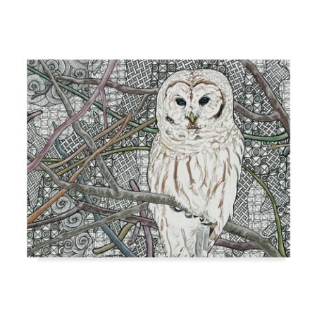 Trademark Fine Art Amy Frank 'Barred Owl White' Canvas Art, 35x47 ALI37891-C3547GG
